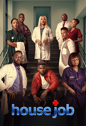 House Job S01 <span class="status-badge status-completed">COMPLETED</span>